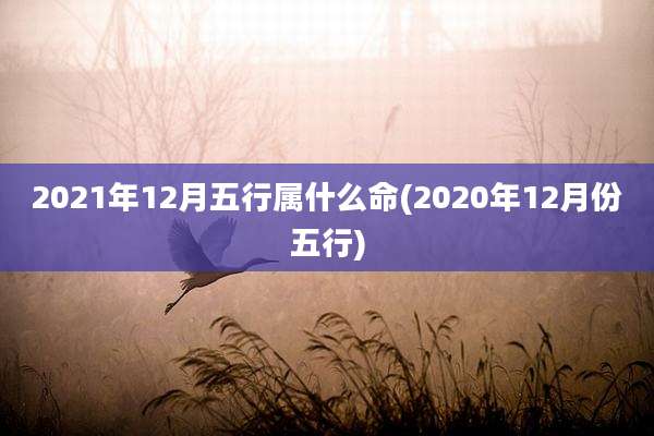 2021年12月五行属什么命(2020年12月份五行)