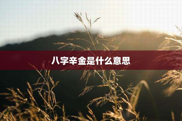 八字辛金是什么意思