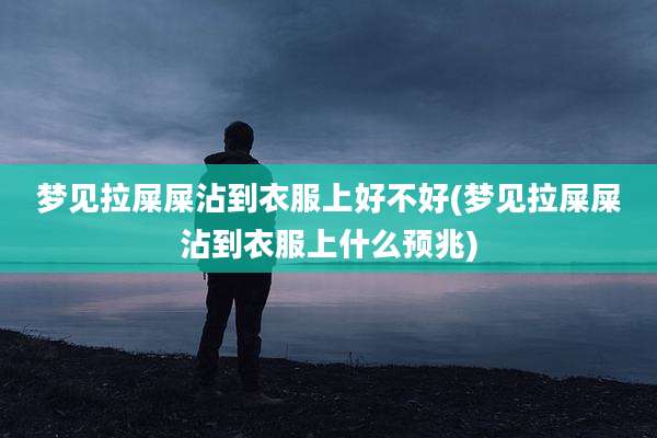 梦见拉屎屎沾到衣服上好不好(梦见拉屎屎沾到衣服上什么预兆)