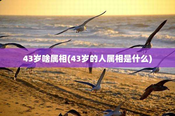 43岁啥属相(43岁的人属相是什么)