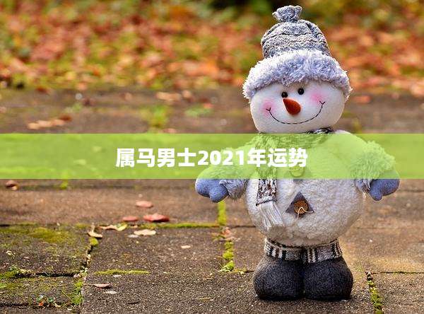 属马男士2021年运势