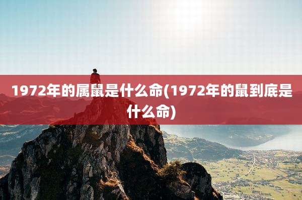 1972年的属鼠是什么命(1972年的鼠到底是什么命)