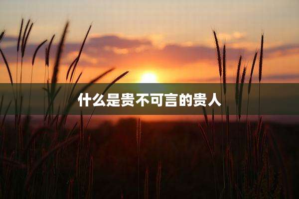 什么是贵不可言的贵人