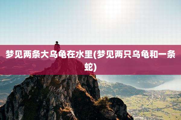 梦见两条大乌龟在水里(梦见两只乌龟和一条蛇)