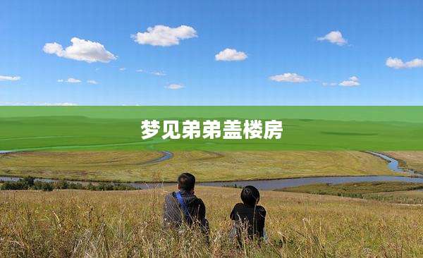 梦见弟弟盖楼房
