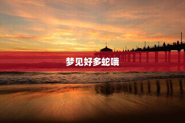 梦见好多蛇哦