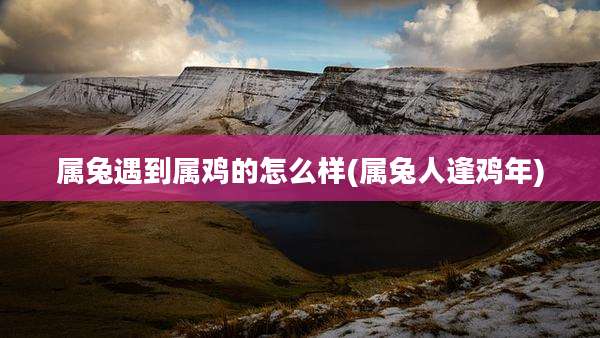 属兔遇到属鸡的怎么样(属兔人逢鸡年)