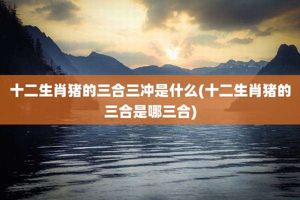 十二生肖猪的三合三冲是什么(十二生肖猪的三合是哪三合)