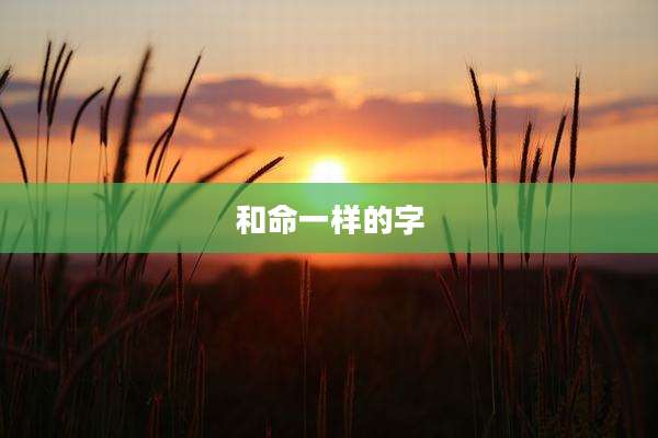 和命一样的字