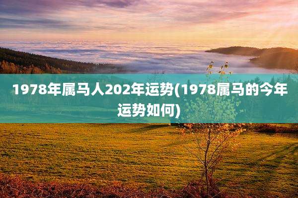 1978年属马人202年运势(1978属马的今年运势如何)