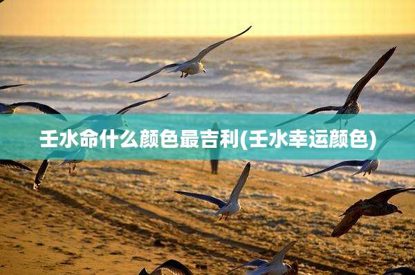 壬水命什么颜色最吉利(壬水幸运颜色)