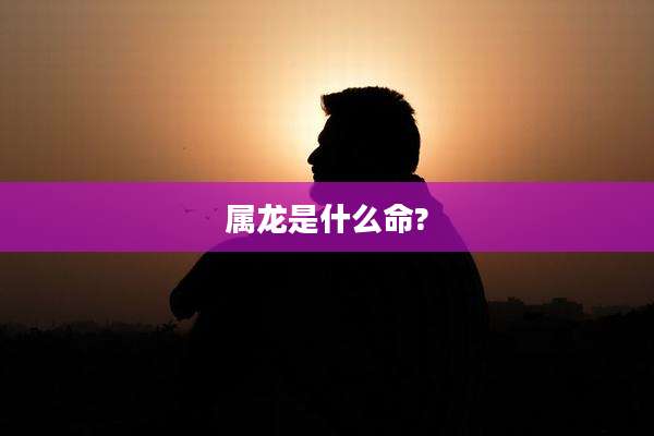 属龙是什么命?