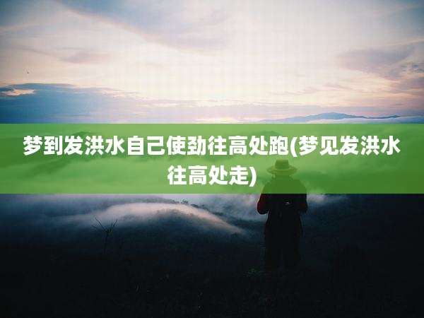 梦到发洪水自己使劲往高处跑(梦见发洪水往高处走)