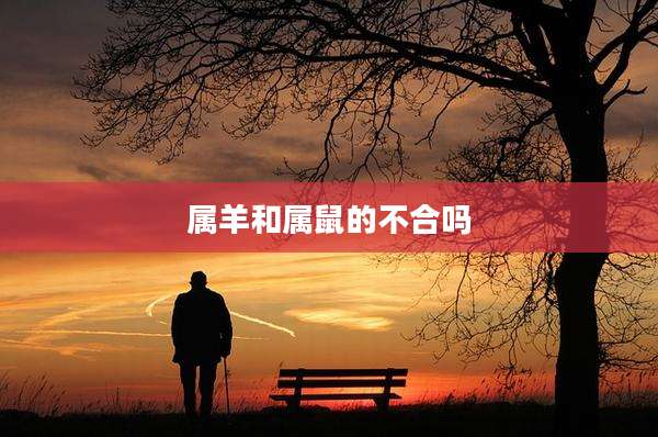 属羊和属鼠的不合吗