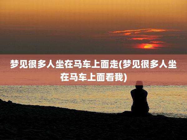 梦见很多人坐在马车上面走(梦见很多人坐在马车上面看我)