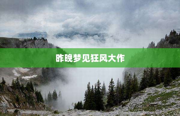 昨晚梦见狂风大作