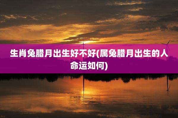 生肖兔腊月出生好不好(属兔腊月出生的人命运如何)