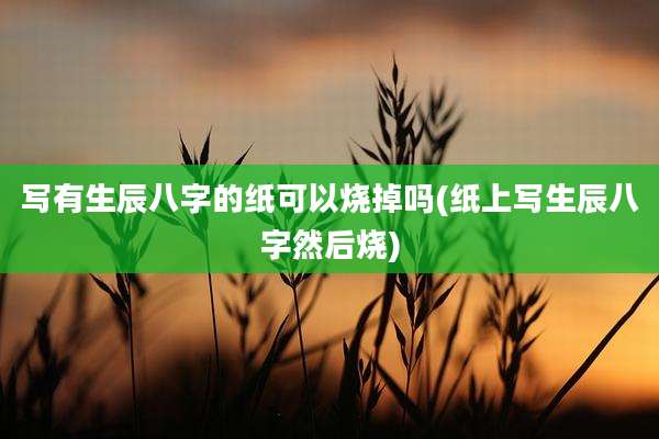 写有生辰八字的纸可以烧掉吗(纸上写生辰八字然后烧)