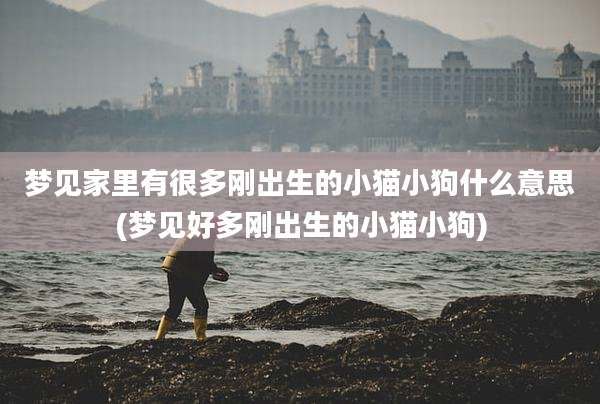 梦见家里有很多刚出生的小猫小狗什么意思(梦见好多刚出生的小猫小狗)