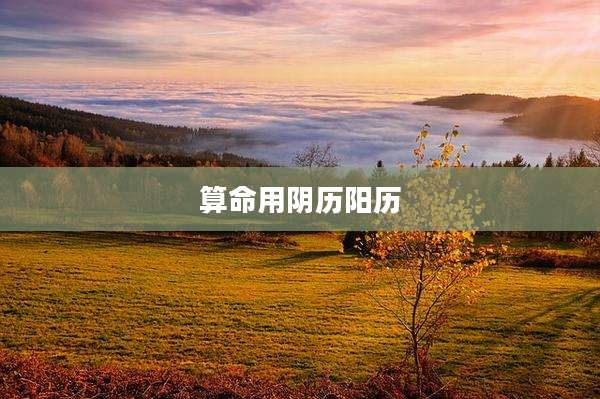 算命用阴历阳历