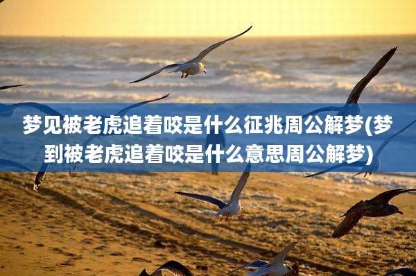 梦见被老虎追着咬是什么征兆周公解梦(梦到被老虎追着咬是什么意思周公解梦)