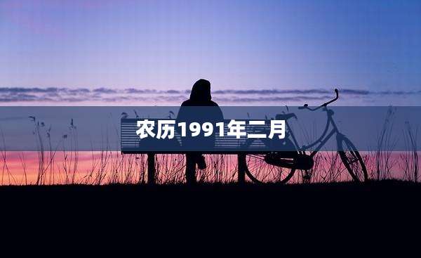 农历1991年二月