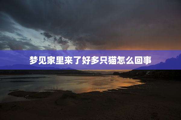 梦见家里来了好多只猫怎么回事