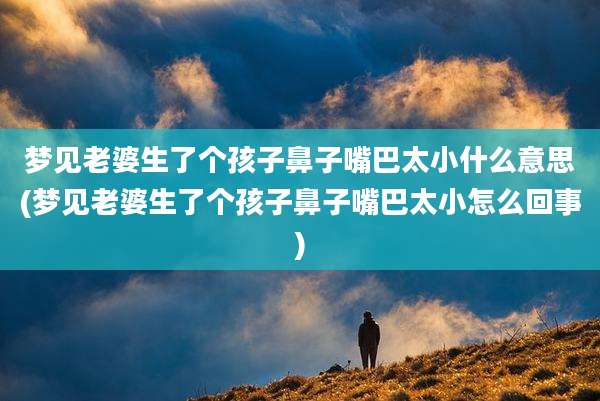 梦见老婆生了个孩子鼻子嘴巴太小什么意思(梦见老婆生了个孩子鼻子嘴巴太小怎么回事)