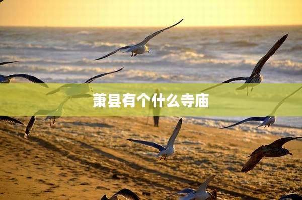 萧县有个什么寺庙