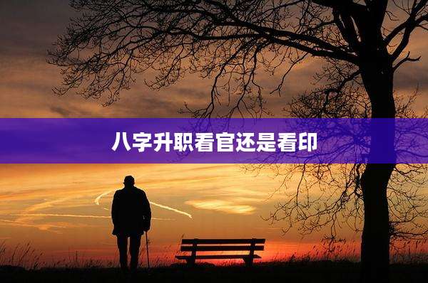 八字升职看官还是看印