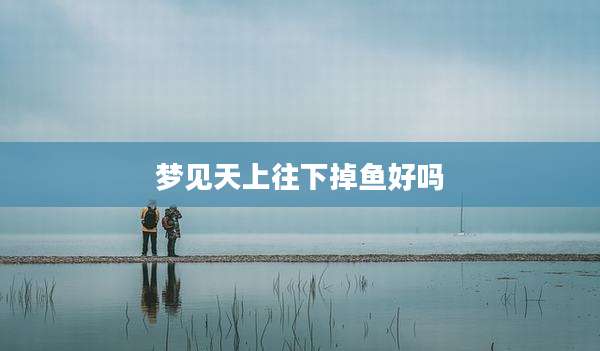 梦见天上往下掉鱼好吗