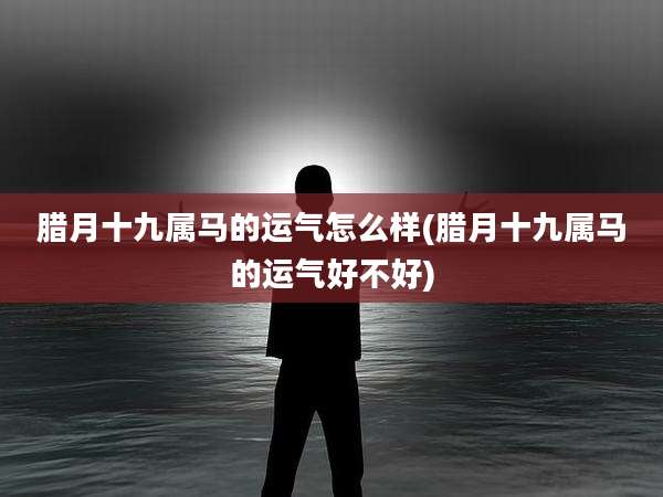 腊月十九属马的运气怎么样(腊月十九属马的运气好不好)