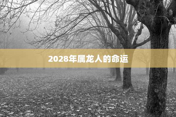 2028年属龙人的命运
