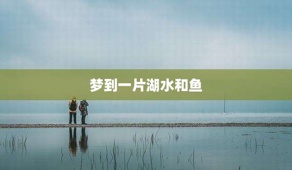 梦到一片湖水和鱼