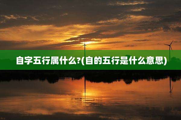 自字五行属什么?(自的五行是什么意思)