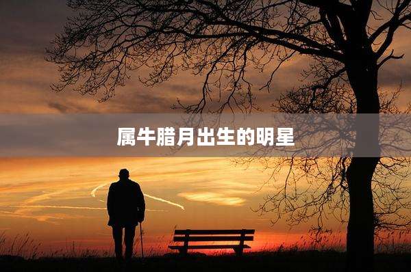 属牛腊月出生的明星