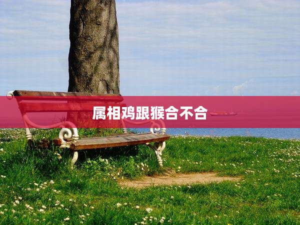 属相鸡跟猴合不合