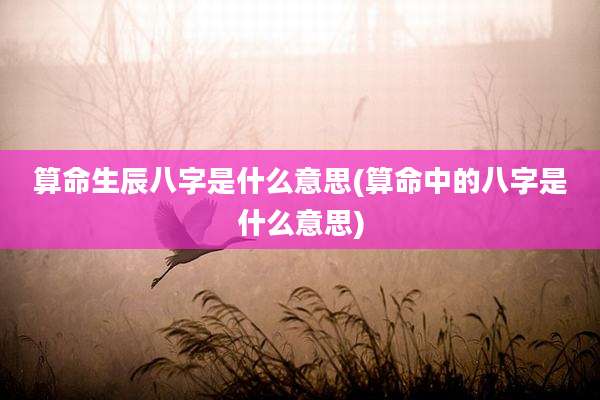 算命生辰八字是什么意思(算命中的八字是什么意思)