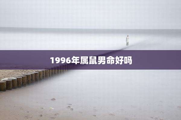 1996年属鼠男命好吗
