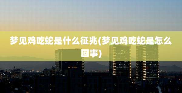 梦见鸡吃蛇是什么征兆(梦见鸡吃蛇是怎么回事)
