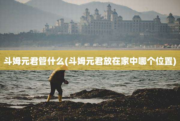 斗姆元君管什么(斗姆元君放在家中哪个位置)