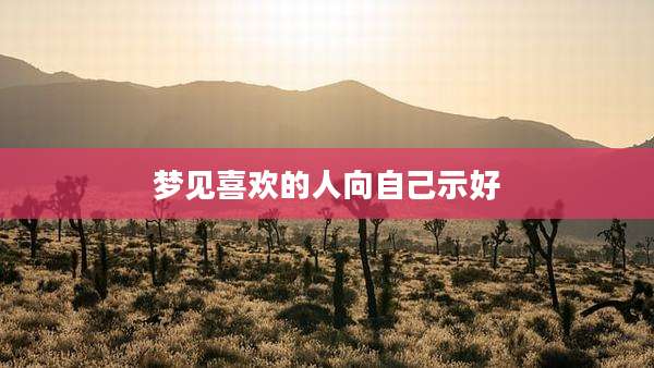 梦见喜欢的人向自己示好