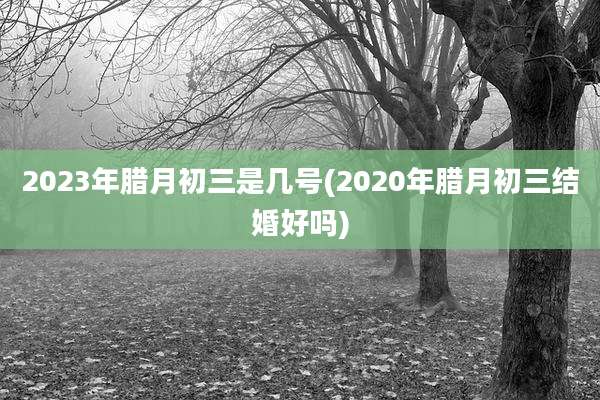 2023年腊月初三是几号(2020年腊月初三结婚好吗)