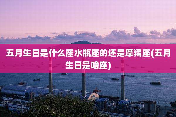 五月生日是什么座水瓶座的还是摩羯座(五月生日是啥座)