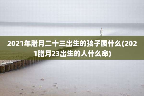2021年腊月二十三出生的孩子属什么(2021腊月23出生的人什么命)