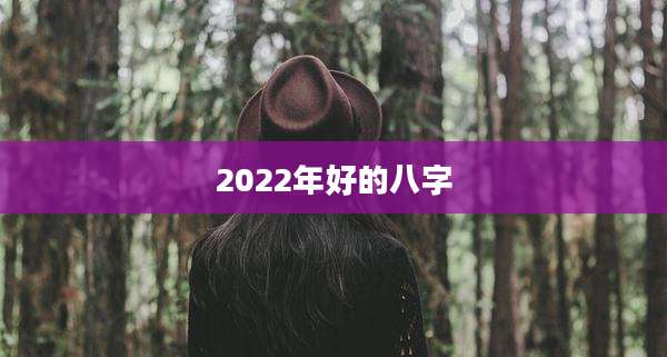 2022年好的八字