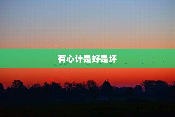 有心计是好是坏