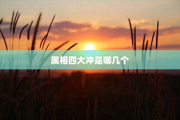 属相四大冲是哪几个