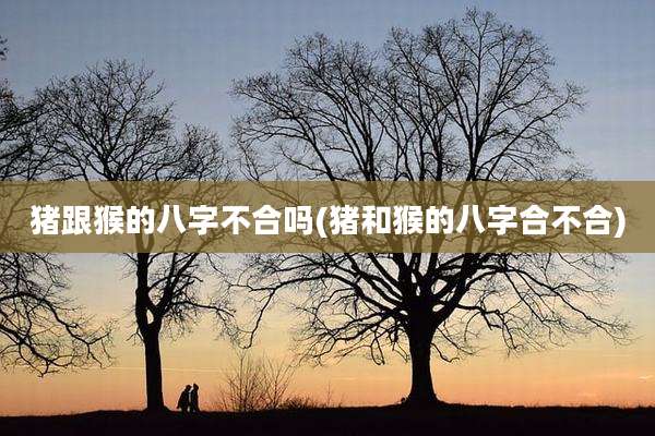 猪跟猴的八字不合吗(猪和猴的八字合不合)