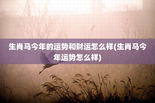 生肖马今年的运势和财运怎么样(生肖马今年运势怎么样)